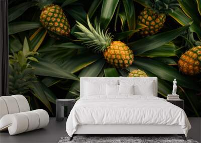 pineapple fruit background with copy space Wall mural