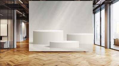 Realistic elegant white podium with plant shadows on the wall and floor background. Wall mural