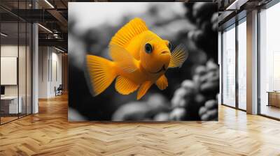 Black and white photo of a yellow tang fish among coral in the ocean Color Splash Art  Wall mural