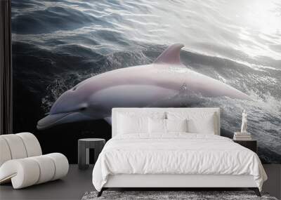 dolphin jumping out of water Color Splash Art Wall mural