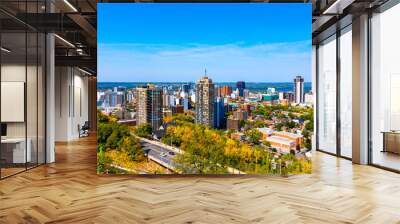 Hamilton Skyline view from the mountain.  Wall mural