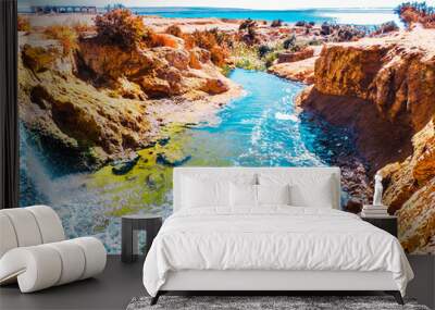 wadi el rayan waterfall Wall mural