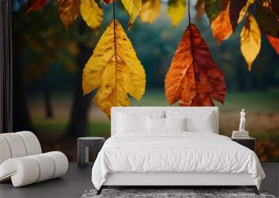 autumn leaves in the forest Wall mural