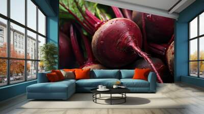 close up of fresh beets with beautiful colors. Farm crops of fresh and organic fruits and vegetables. Healthy food for a healthy life Wall mural