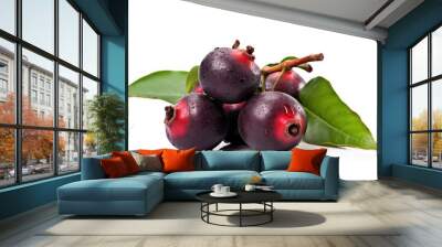 maqui on white isolated background, fresh fruits with bright colors. Wall mural