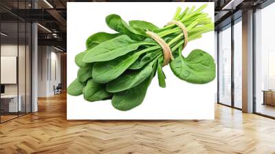 Fresh spinach bundle with vibrant green leaves, perfect for healthy recipes, salads, and cooking inspiration. Wall mural