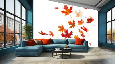 Colorful maple leaves are falling to the ground on transparent background Wall mural