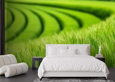 A vibrant image of a lush green wheat field with rolling hills in the background, showcasing the beauty of organic farming practices. The image symbolizes abundance, growth, nature, and a sustainable  Wall mural