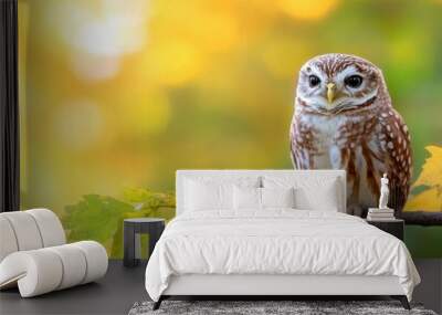 A charming owl perched on a vibrant autumn branch, surrounded by colorful leaves and warm sunlight, ideal for nature photography. Wall mural