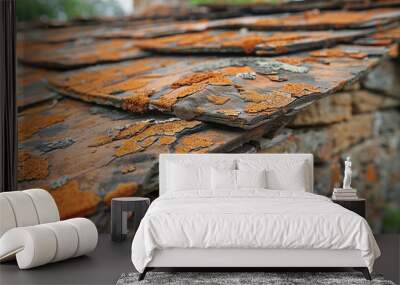 Resilient roof showcases bold contrast between weathered exterior and  Wall mural