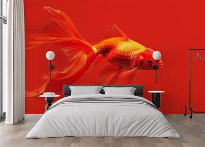 A radiant goldfish with flowing fins, swimming in a dynamic pose against a solid crimson red background. Wall mural