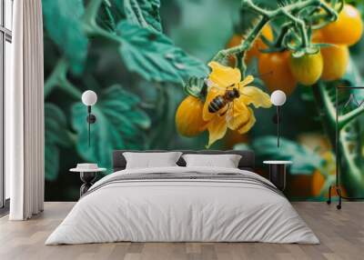 A bee feeding on a yellow tomato flower amidst a sea of green leaves, highlighting the symbiotic relationship in nature. Wall mural