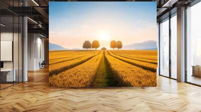 A panoramic view of golden wheat fields under the sun Wall mural