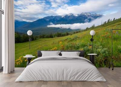 Autumn Colors in Flathead National Park Wall mural