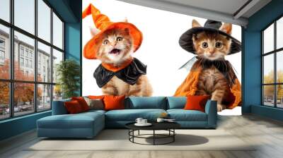 the happy kitten waring halloween costume isolated on the white background Wall mural