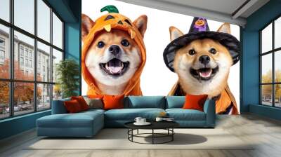 the happy puppy waring halloween costume isolated on the white background Wall mural