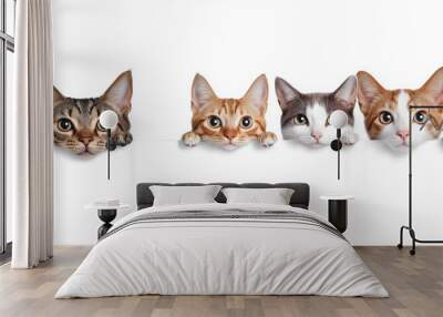 Cats and dogs peeking over white web banner. Wall mural