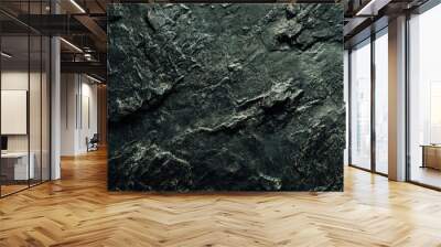 A dark green textured surface with a slightly rough, grainy texture, resembling dark granite or basalt. Wall mural