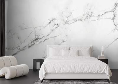 Minimalist white marble background with subtle grey veining and a smooth, polished texture. The clean, elegant look adds sophistication and simplicity, ideal for modern or high-end designs Wall mural