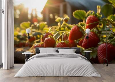 strawberry fields ultra detailed look front to the sun. AI Generated Wall mural