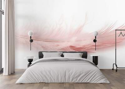 A light pink feather with frayed edges, gently bending and isolated against a white background. Wall mural