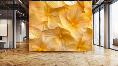 Detailed close-up of yellow buttercup petals, arranged in a radial pattern on a floral backdrop, showcasing their bright color and delicate form. Wall mural