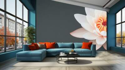 Single white water lily flower with yellow center against a dark grey background. Wall mural