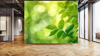 Blurred foliage on a green backdrop Wall mural