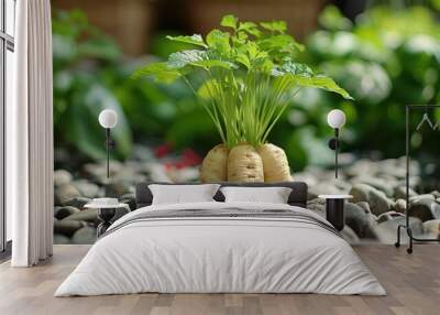 A close-up view of vibrant green leafy parsnip plants growing amongst smooth stones in a lush garden setting with blurred foliage background Wall mural