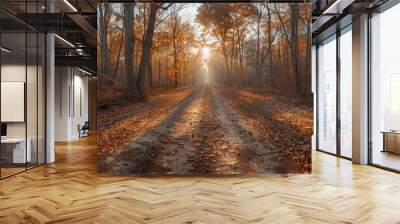 A serene and picturesque woodland path adorned with autumn leaves, illuminated by the gentle morning sun filtering through the tall trees, showcasing the tranquil beauty of a forest in fall Wall mural