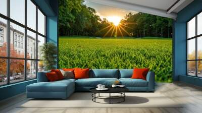 A serene sunrise in a tranquil park setting with lush green grass, captured to evoke the calm and beauty of nature's early morning moments Wall mural