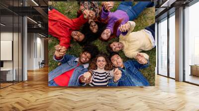 Diverse happy teenagers lying in a circle on the grass putting their hands together Wall mural