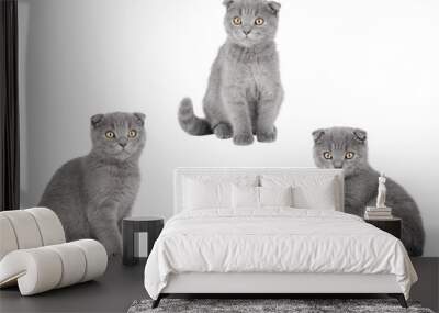 set of cute cat isolated Wall mural