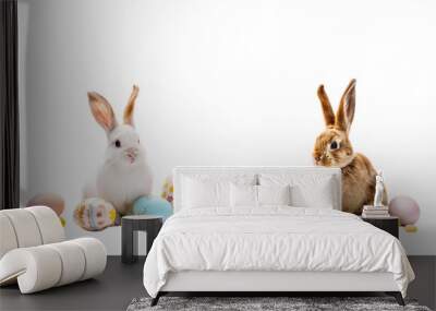 easter bunny and easter eggs isolated on white transparent background Wall mural