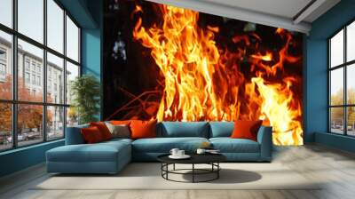 fire was burning in the dark Wall mural