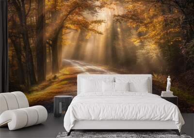 Fall Country Road. Streaming Sunlight on a Rural North Carolina Tree-Lined Road in Autumn Wall mural