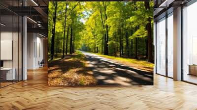 Natchez Trace Parkway: Tracing the History of Sunken Trail through Mississippi's Forest and Trees with Shades of Sunlight. Generative AI Wall mural