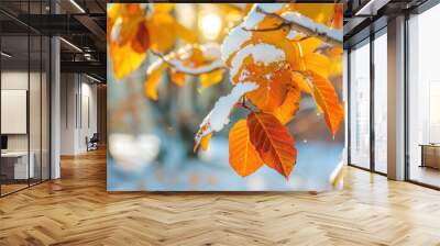 Snow On Leaves. Autumn Landscape with Colorful Yellow Leaves on Tree in Park Wall mural