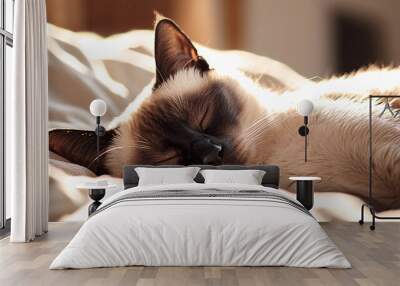 Close-up view of a Siamese cat napping peacefully in a sunbeam, with a serene style and minimal background, focusing on the cat's relaxed expression and the gentle light  Wall mural