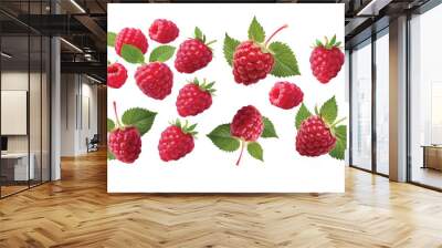 Raspberry raspberries, many angles and view side top front group pile heap isolated on transparent background cutout, PNG file. Mockup template for artwork graphic design Wall mural