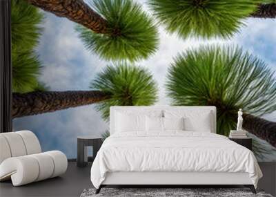 Landscape with pine trees Wall mural