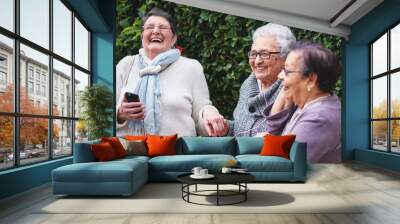 Funny elderly women listening to music on smartphone wearing earphones smiling enjoying fun celebrating retirement together outdoors Wall mural