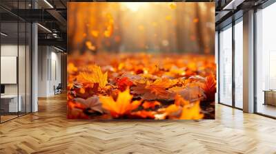 Beautiful autumn landscape with. Colorful foliage in the park. Falling leaves natural background Wall mural