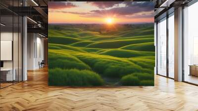 landscape with grass and blue sky Wall mural