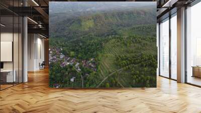 The beauty of the expanse of the clove plantation area in the village of Patean Boja, Kendal Regency, Indonesia Wall mural