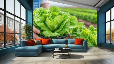 Freshly harvested lettuce showcases vibrant green leaves, symbolizing organic farming practices. This image captures essence of sustainable agriculture and healthy eating Wall mural