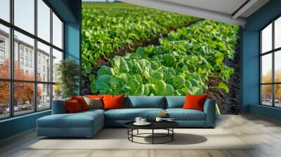 Lush green crops thrive in farming field, showcasing healthy growth and rich soil. vibrant leaves reflect sunlight, creating serene agricultural landscape Wall mural