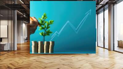 Business Growth and Financial Data Analysis Concept Wall mural