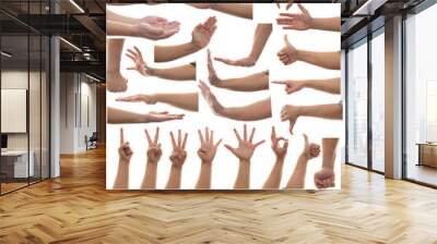 Multiple set of adult person hands gestures isolated on white background Wall mural