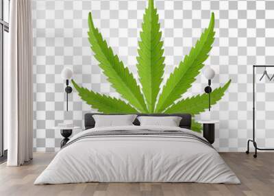 Hemp leaf isolated on transparent background. Realistic marijuana. Cannabis plant. Vector Illustration Wall mural